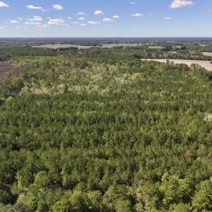 Photo #4 of Off Highway 258 South, & Lightwood Knot Road, Deep Run, NC 47.6 acres