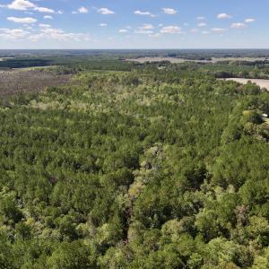 Photo #5 of Off Highway 258 South, & Lightwood Knot Road, Deep Run, NC 47.6 acres