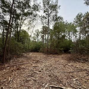 Photo #8 of Off Highway 258 South, & Lightwood Knot Road, Deep Run, NC 47.6 acres