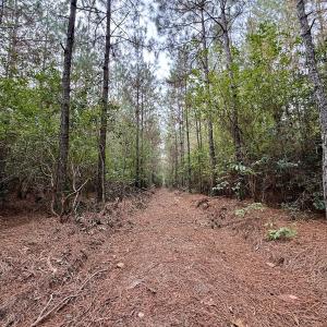 Photo #9 of Off Highway 258 South, & Lightwood Knot Road, Deep Run, NC 47.6 acres