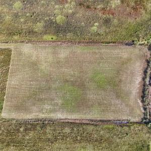 Photo #21 of Lot 85 off Dallas Paul Rd, Belhaven, NC 1.6 acres