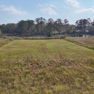 Photo #23 of Lot 85 off Dallas Paul Rd, Belhaven, NC 1.6 acres