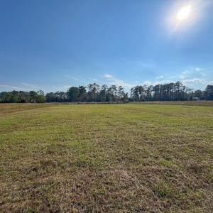 Photo #24 of Lot 85 off Dallas Paul Rd, Belhaven, NC 1.6 acres