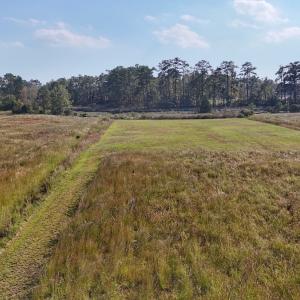 Photo #25 of Lot 85 off Dallas Paul Rd, Belhaven, NC 1.6 acres
