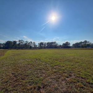 Photo #28 of Lot 85 off Dallas Paul Rd, Belhaven, NC 1.6 acres