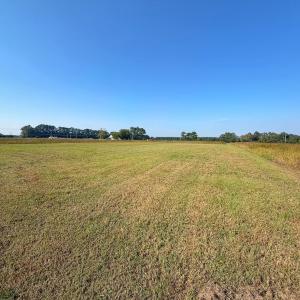 Photo #30 of Lot 85 off Dallas Paul Rd, Belhaven, NC 1.6 acres