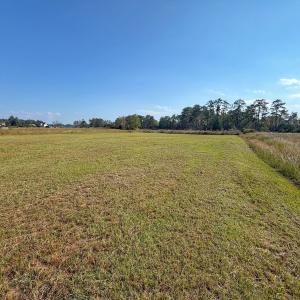 Photo #32 of Lot 85 off Dallas Paul Rd, Belhaven, NC 1.6 acres