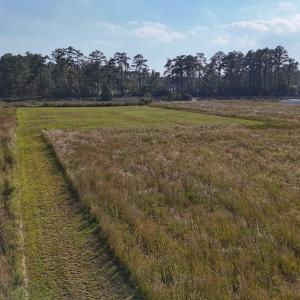 Photo #34 of Lot 85 off Dallas Paul Rd, Belhaven, NC 1.6 acres