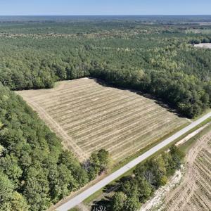 Photo #10 of Off Spring Hill Road & Off Hwy 561, Scotland Neck, NC 588.4 acres