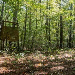 Photo #11 of Off Spring Hill Road & Off Hwy 561, Scotland Neck, NC 588.4 acres