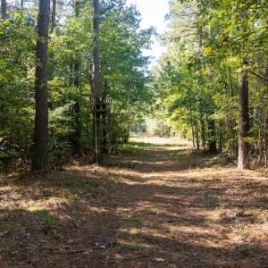 Photo #12 of Off Spring Hill Road & Off Hwy 561, Scotland Neck, NC 588.4 acres