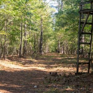 Photo #15 of Off Spring Hill Road & Off Hwy 561, Scotland Neck, NC 588.4 acres