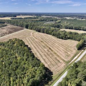 Photo #17 of Off Spring Hill Road & Off Hwy 561, Scotland Neck, NC 588.4 acres