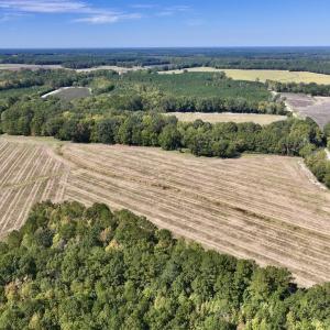 Photo #18 of Off Spring Hill Road & Off Hwy 561, Scotland Neck, NC 588.4 acres