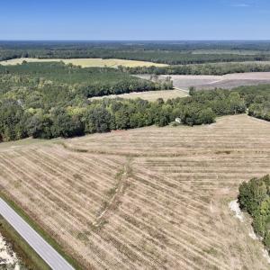 Photo #20 of Off Spring Hill Road & Off Hwy 561, Scotland Neck, NC 588.4 acres