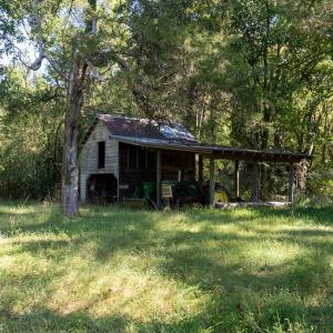 Photo #25 of Off Spring Hill Road & Off Hwy 561, Scotland Neck, NC 588.4 acres