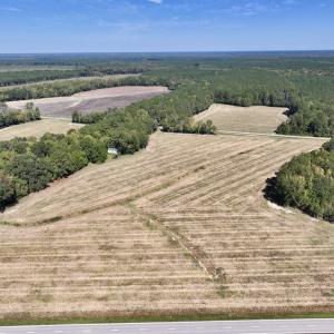 Photo #26 of Off Spring Hill Road & Off Hwy 561, Scotland Neck, NC 588.4 acres