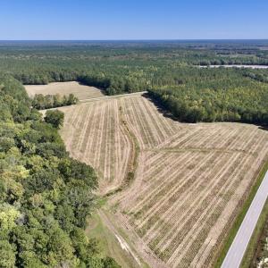 Photo #27 of Off Spring Hill Road & Off Hwy 561, Scotland Neck, NC 588.4 acres
