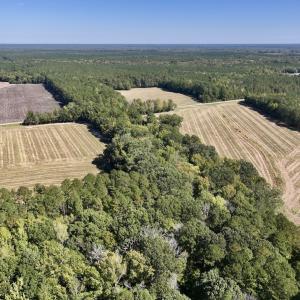 Photo #28 of Off Spring Hill Road & Off Hwy 561, Scotland Neck, NC 588.4 acres