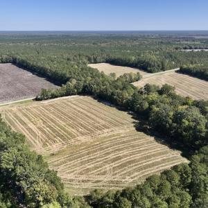 Photo #29 of Off Spring Hill Road & Off Hwy 561, Scotland Neck, NC 588.4 acres