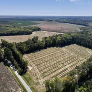 Photo #30 of Off Spring Hill Road & Off Hwy 561, Scotland Neck, NC 588.4 acres