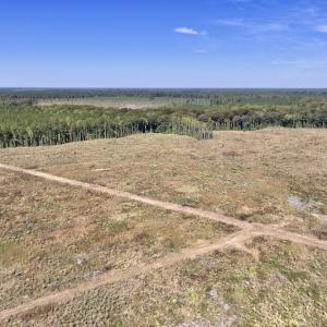 Photo #31 of Off Spring Hill Road & Off Hwy 561, Scotland Neck, NC 588.4 acres