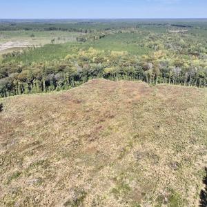 Photo #32 of Off Spring Hill Road & Off Hwy 561, Scotland Neck, NC 588.4 acres