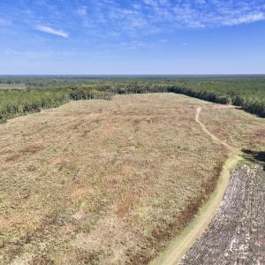 Photo #34 of Off Spring Hill Road & Off Hwy 561, Scotland Neck, NC 588.4 acres