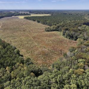 Photo #35 of Off Spring Hill Road & Off Hwy 561, Scotland Neck, NC 588.4 acres