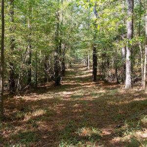 Photo #37 of Off Spring Hill Road & Off Hwy 561, Scotland Neck, NC 588.4 acres