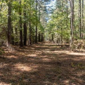 Photo #38 of Off Spring Hill Road & Off Hwy 561, Scotland Neck, NC 588.4 acres