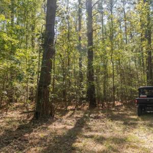 Photo #39 of Off Spring Hill Road & Off Hwy 561, Scotland Neck, NC 588.4 acres