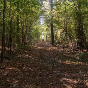 Photo #4 of Off Spring Hill Road & Off Hwy 561, Scotland Neck, NC 588.4 acres