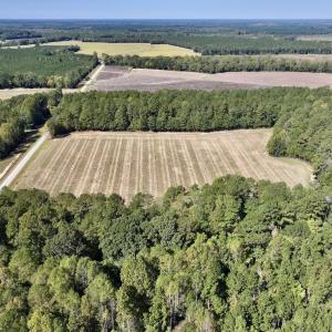Photo #7 of Off Spring Hill Road & Off Hwy 561, Scotland Neck, NC 588.4 acres