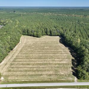 Photo #9 of Off Spring Hill Road & Off Hwy 561, Scotland Neck, NC 588.4 acres