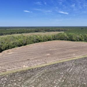 Photo #42 of Off Spring Hill Road & Off Hwy 561, Scotland Neck, NC 588.4 acres