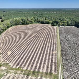 Photo #43 of Off Spring Hill Road & Off Hwy 561, Scotland Neck, NC 588.4 acres