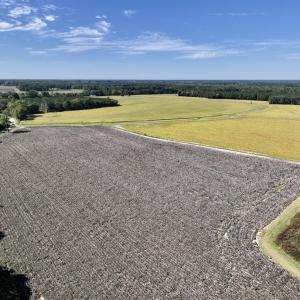 Photo #44 of Off Spring Hill Road & Off Hwy 561, Scotland Neck, NC 588.4 acres