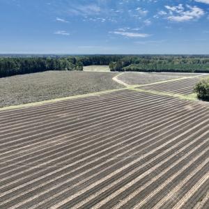 Photo #45 of Off Spring Hill Road & Off Hwy 561, Scotland Neck, NC 588.4 acres