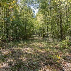 Photo #50 of Off Spring Hill Road & Off Hwy 561, Scotland Neck, NC 588.4 acres