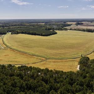 Photo #52 of Off Spring Hill Road & Off Hwy 561, Scotland Neck, NC 588.4 acres