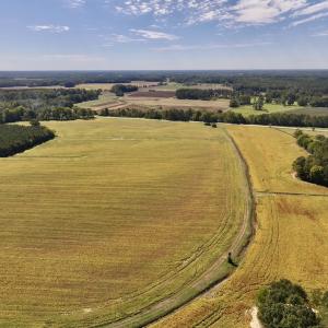 Photo #53 of Off Spring Hill Road & Off Hwy 561, Scotland Neck, NC 588.4 acres
