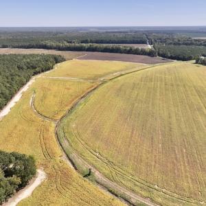 Photo #54 of Off Spring Hill Road & Off Hwy 561, Scotland Neck, NC 588.4 acres