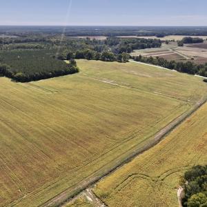 Photo #55 of Off Spring Hill Road & Off Hwy 561, Scotland Neck, NC 588.4 acres