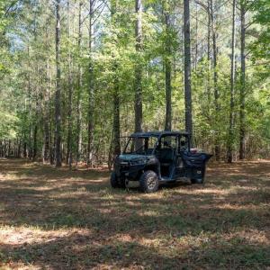 Photo #57 of Off Spring Hill Road & Off Hwy 561, Scotland Neck, NC 588.4 acres