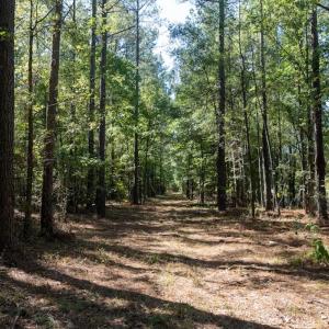Photo #58 of Off Spring Hill Road & Off Hwy 561, Scotland Neck, NC 588.4 acres