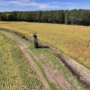 Photo #64 of Off Spring Hill Road & Off Hwy 561, Scotland Neck, NC 588.4 acres