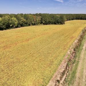 Photo #65 of Off Spring Hill Road & Off Hwy 561, Scotland Neck, NC 588.4 acres