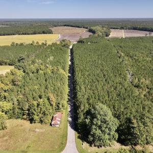 Photo #67 of Off Spring Hill Road & Off Hwy 561, Scotland Neck, NC 588.4 acres