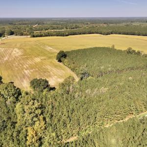Photo #70 of Off Spring Hill Road & Off Hwy 561, Scotland Neck, NC 588.4 acres